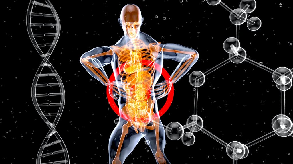 MenMatters high estrogen levels in males